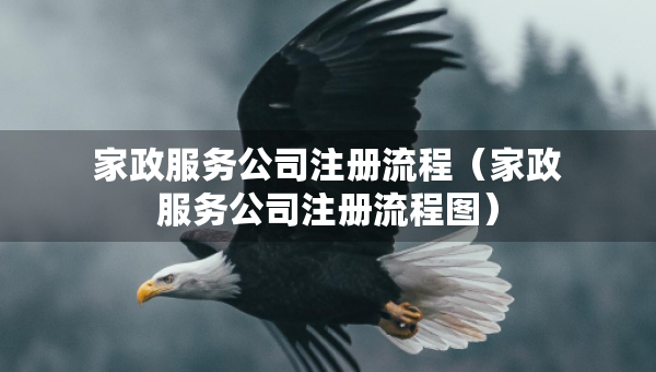 家政服務(wù)公司注冊流程（家政服務(wù)公司注冊流程圖）