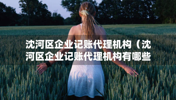 沈河區(qū)企業(yè)記賬代理機(jī)構(gòu)（沈河區(qū)企業(yè)記賬代理機(jī)構(gòu)有哪些）