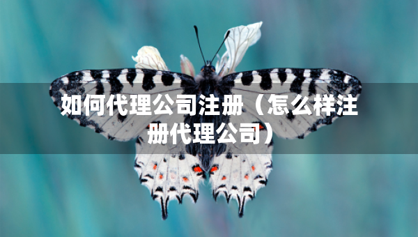 如何代理公司注冊(cè)（怎么樣注冊(cè)代理公司）