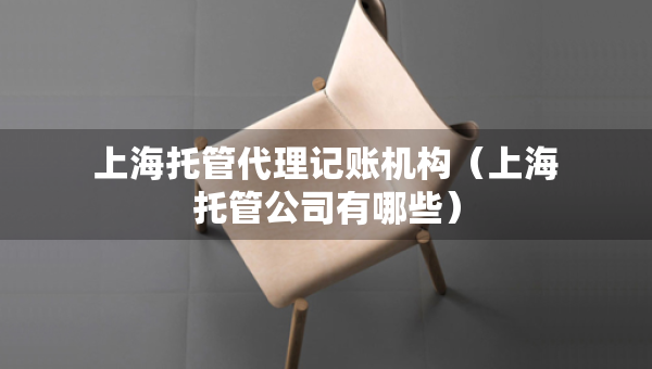 上海托管代理記賬機(jī)構(gòu)（上海托管公司有哪些）