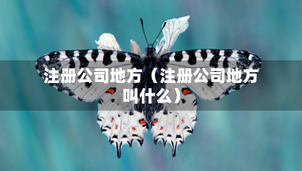 注冊公司地方（注冊公司地方叫什么）