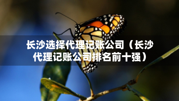 長沙選擇代理記賬公司（長沙代理記賬公司排名前十強）