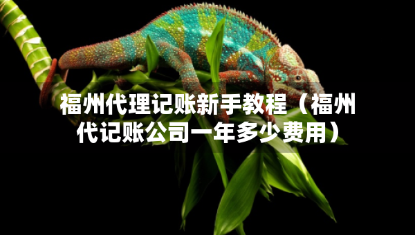 福州代理記賬新手教程（福州代記賬公司一年多少費(fèi)用）