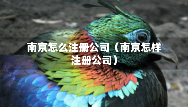 南京怎么注冊(cè)公司（南京怎樣注冊(cè)公司）