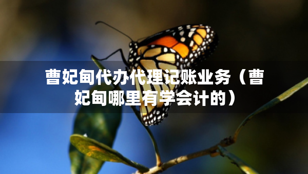 曹妃甸代辦代理記賬業(yè)務(wù)（曹妃甸哪里有學(xué)會(huì)計(jì)的）