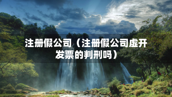 注冊假公司（注冊假公司虛開發(fā)票的判刑嗎）