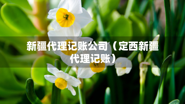 新疆代理記賬公司（定西新疆代理記賬）