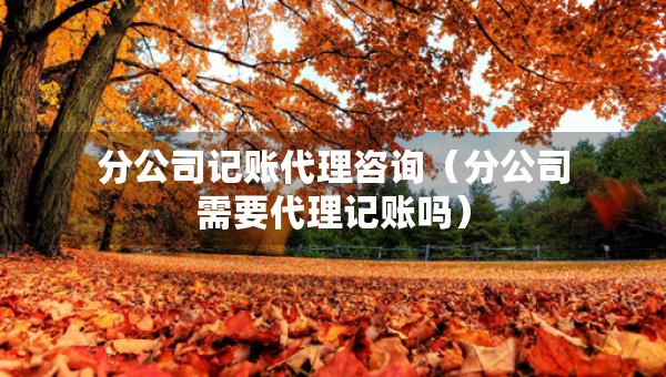 分公司記賬代理咨詢（分公司需要代理記賬嗎）