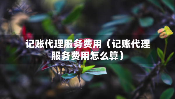 記賬代理服務(wù)費(fèi)用（記賬代理服務(wù)費(fèi)用怎么算）
