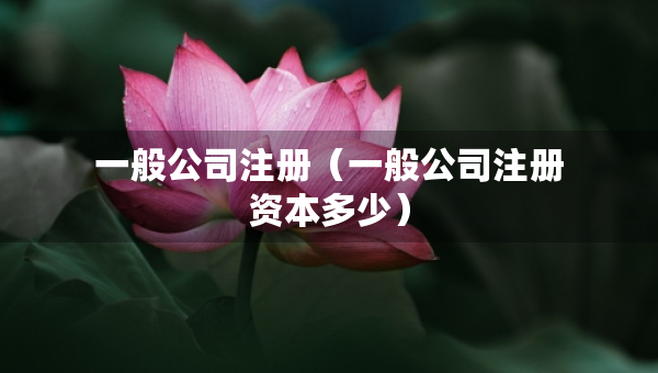 一般公司注冊（一般公司注冊資本多少）