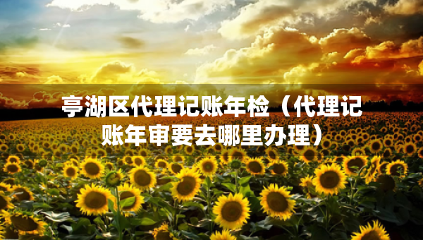 亭湖區(qū)代理記賬年檢（代理記賬年審要去哪里辦理）