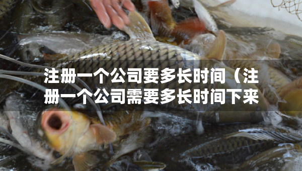 注冊一個公司要多長時間（注冊一個公司需要多長時間下來）