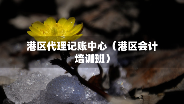 港區(qū)代理記賬中心（港區(qū)會(huì)計(jì)培訓(xùn)班）