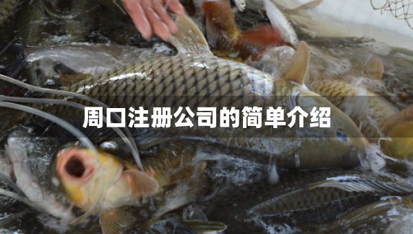 周口注冊公司的簡單介紹
