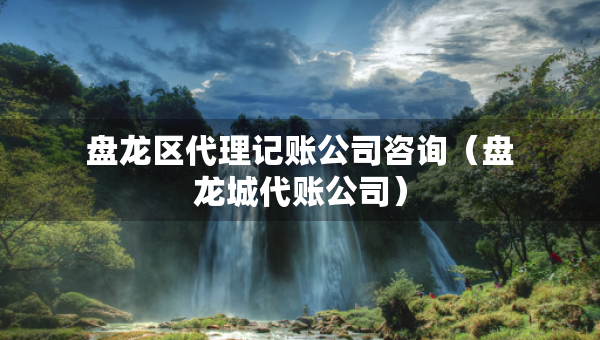 盤龍區(qū)代理記賬公司咨詢（盤龍城代賬公司）