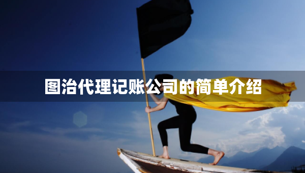 圖治代理記賬公司的簡單介紹