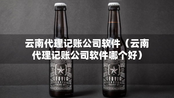 云南代理記賬公司軟件（云南代理記賬公司軟件哪個(gè)好）