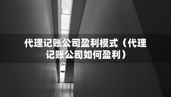 代理記賬公司盈利模式（代理記賬公司如何盈利）