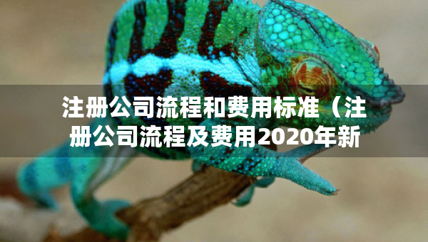 注冊公司流程和費用標準（注冊公司流程及費用2020年新政策）