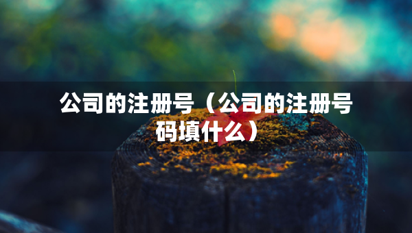 公司的注冊號（公司的注冊號碼填什么）