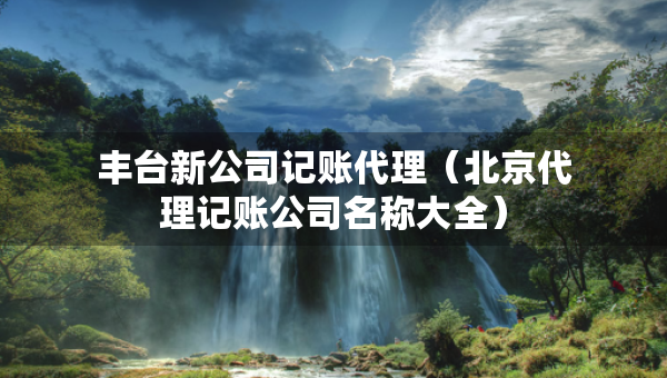 豐臺(tái)新公司記賬代理（北京代理記賬公司名稱大全）