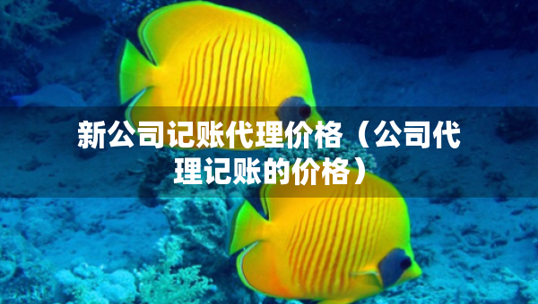 新公司記賬代理價格（公司代理記賬的價格）
