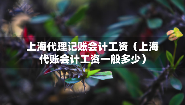 上海代理記賬會(huì)計(jì)工資（上海代賬會(huì)計(jì)工資一般多少）