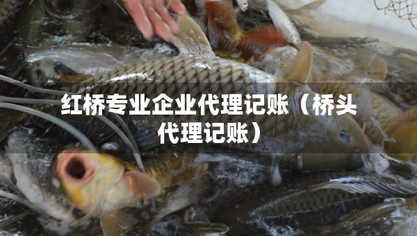 紅橋?qū)I(yè)企業(yè)代理記賬（橋頭代理記賬）