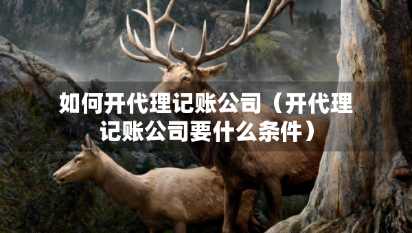 如何開代理記賬公司（開代理記賬公司要什么條件）