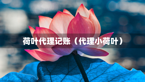 荷葉代理記賬（代理小荷葉）