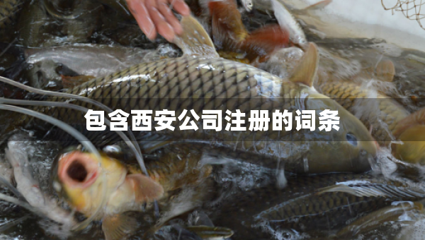 包含西安公司注冊(cè)的詞條