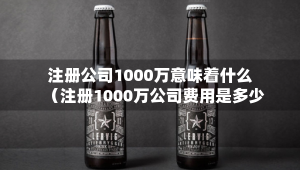 注冊(cè)公司1000萬意味著什么（注冊(cè)1000萬公司費(fèi)用是多少）