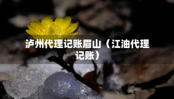 瀘州代理記賬眉山（江油代理記賬）