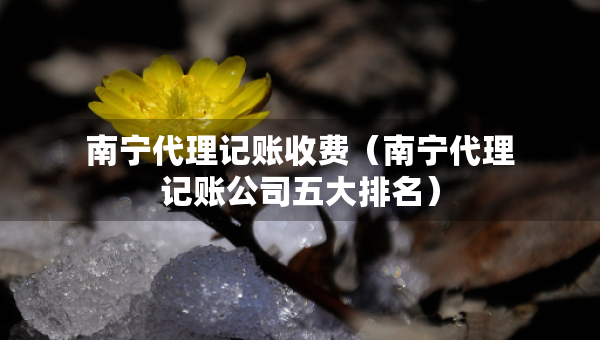 南寧代理記賬收費（南寧代理記賬公司五大排名）