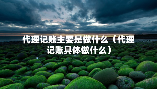代理記賬主要是做什么（代理記賬具體做什么）