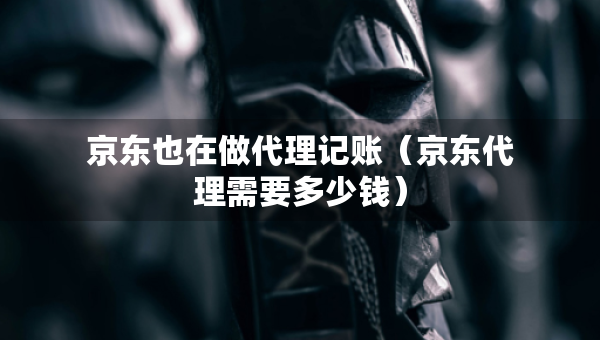 京東也在做代理記賬（京東代理需要多少錢）