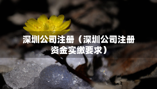 深圳公司注冊(cè)（深圳公司注冊(cè)資金實(shí)繳要求）