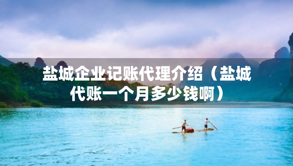 鹽城企業(yè)記賬代理介紹（鹽城代賬一個月多少錢?。? title=