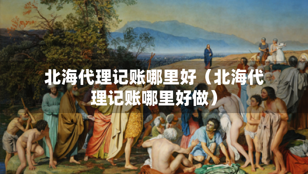 北海代理記賬哪里好（北海代理記賬哪里好做）