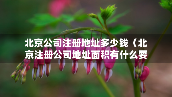 北京公司注冊地址多少錢（北京注冊公司地址面積有什么要求）