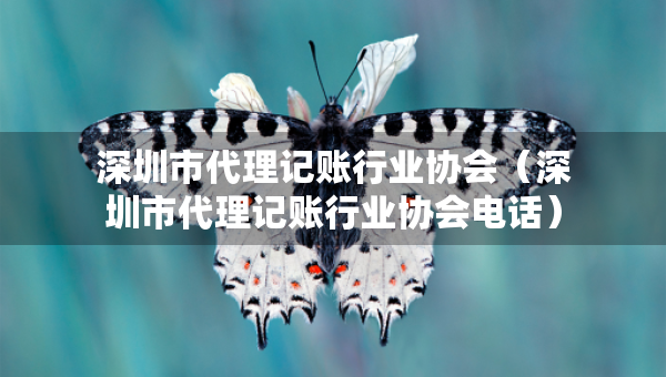 深圳市代理記賬行業(yè)協(xié)會（深圳市代理記賬行業(yè)協(xié)會電話）