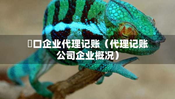 硚口企業(yè)代理記賬（代理記賬公司企業(yè)概況）