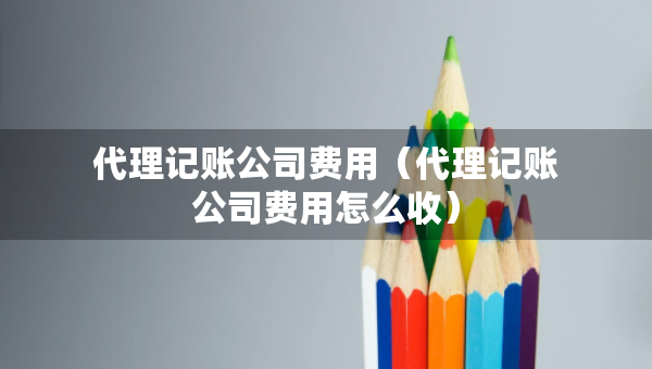 代理記賬公司費(fèi)用（代理記賬公司費(fèi)用怎么收）