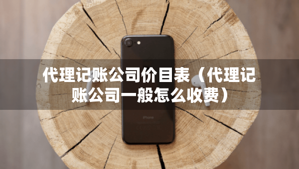 代理記賬公司價(jià)目表（代理記賬公司一般怎么收費(fèi)）