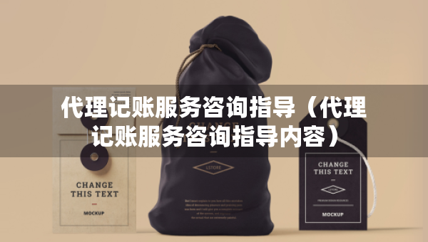 代理記賬服務(wù)咨詢指導(dǎo)（代理記賬服務(wù)咨詢指導(dǎo)內(nèi)容）