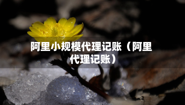 阿里小規(guī)模代理記賬（阿里 代理記賬）