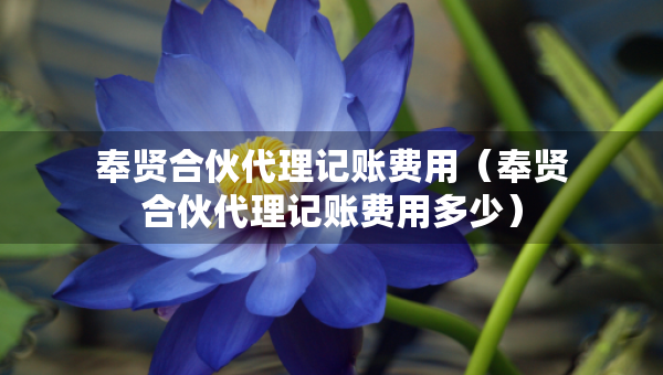 奉賢合伙代理記賬費(fèi)用（奉賢合伙代理記賬費(fèi)用多少）