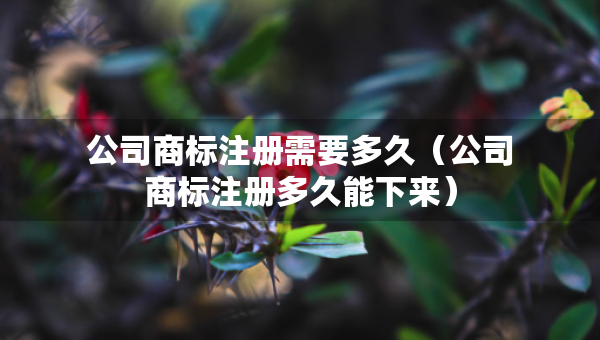 公司商標(biāo)注冊(cè)需要多久（公司商標(biāo)注冊(cè)多久能下來(lái)）