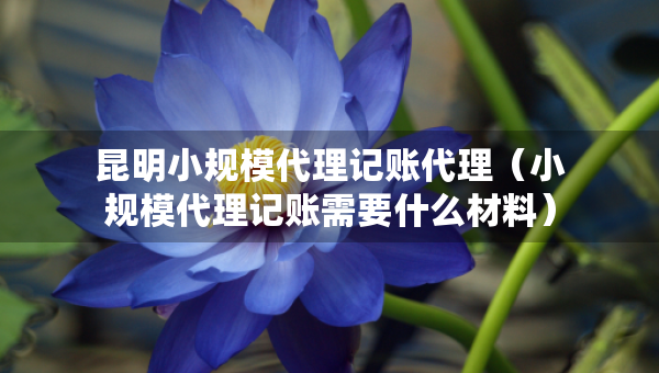昆明小規(guī)模代理記賬代理（小規(guī)模代理記賬需要什么材料）