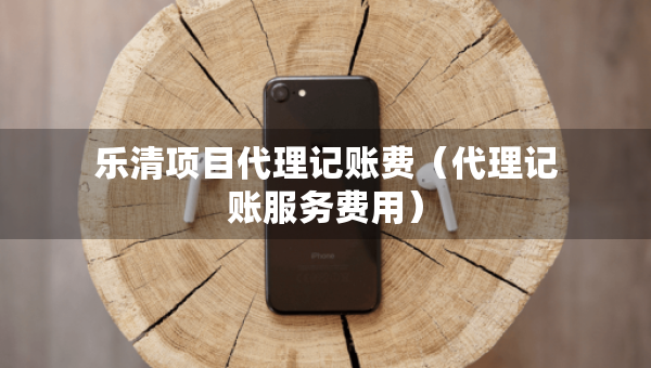樂清項(xiàng)目代理記賬費(fèi)（代理記賬服務(wù)費(fèi)用）